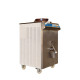 PASTOCHEF RTX 55 CARPIGIANI